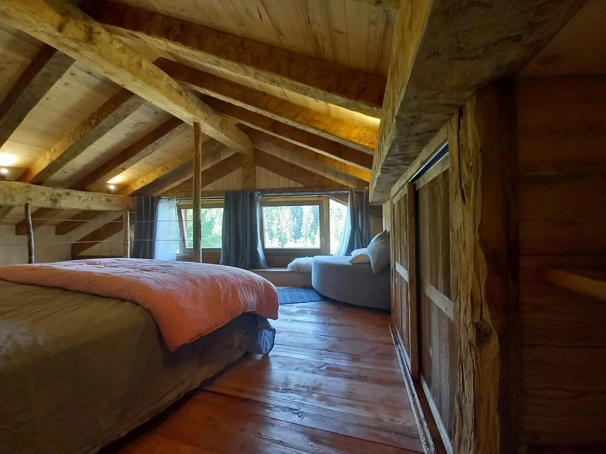 Maisonnette grand confort dans charmant village de montagne ! Bourg-Saint-Maurice France